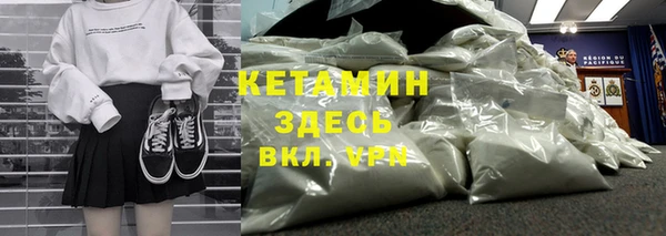 сатива Каменка