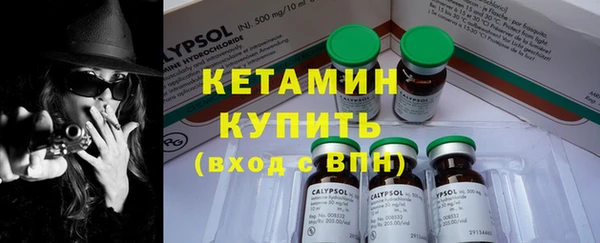 сатива Каменка