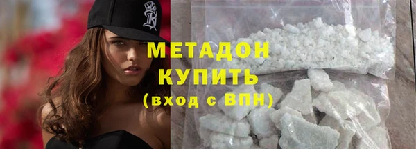 сатива Каменка