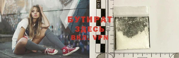 сатива Каменка