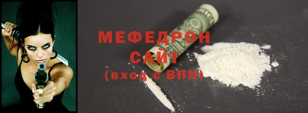 сатива Каменка