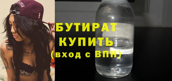 сатива Каменка