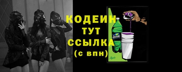 сатива Каменка