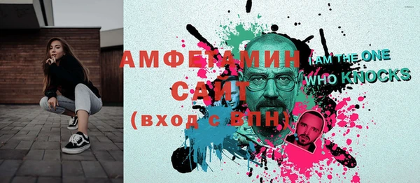 сатива Каменка