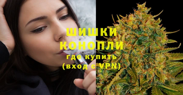 сатива Каменка