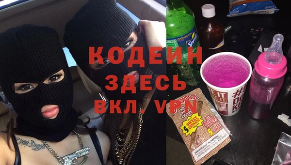 сатива Каменка