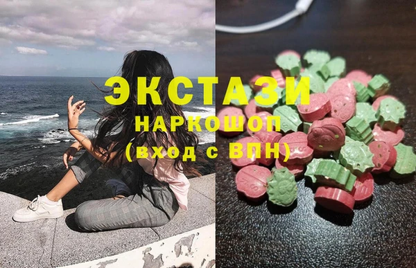 сатива Каменка