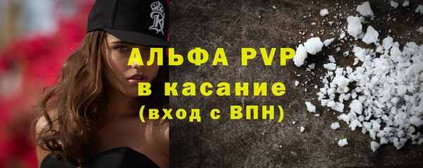 сатива Каменка
